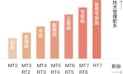 技術專職晉升體系