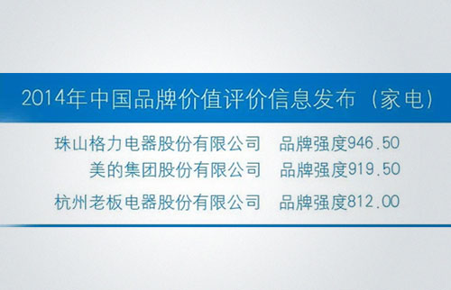 中國(guó)品牌價(jià)值評(píng)價(jià)信息